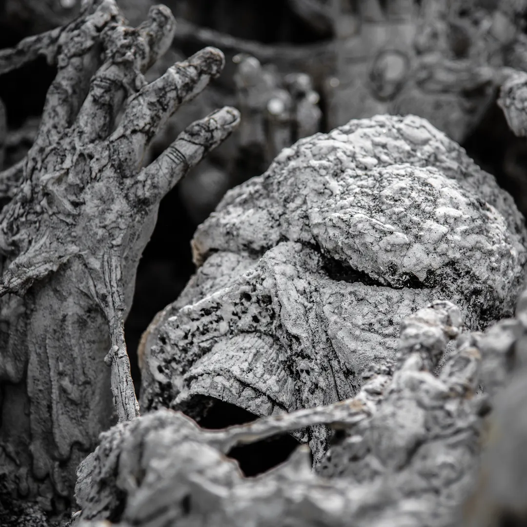 The Ambition of a Colt Aligning Against Itself