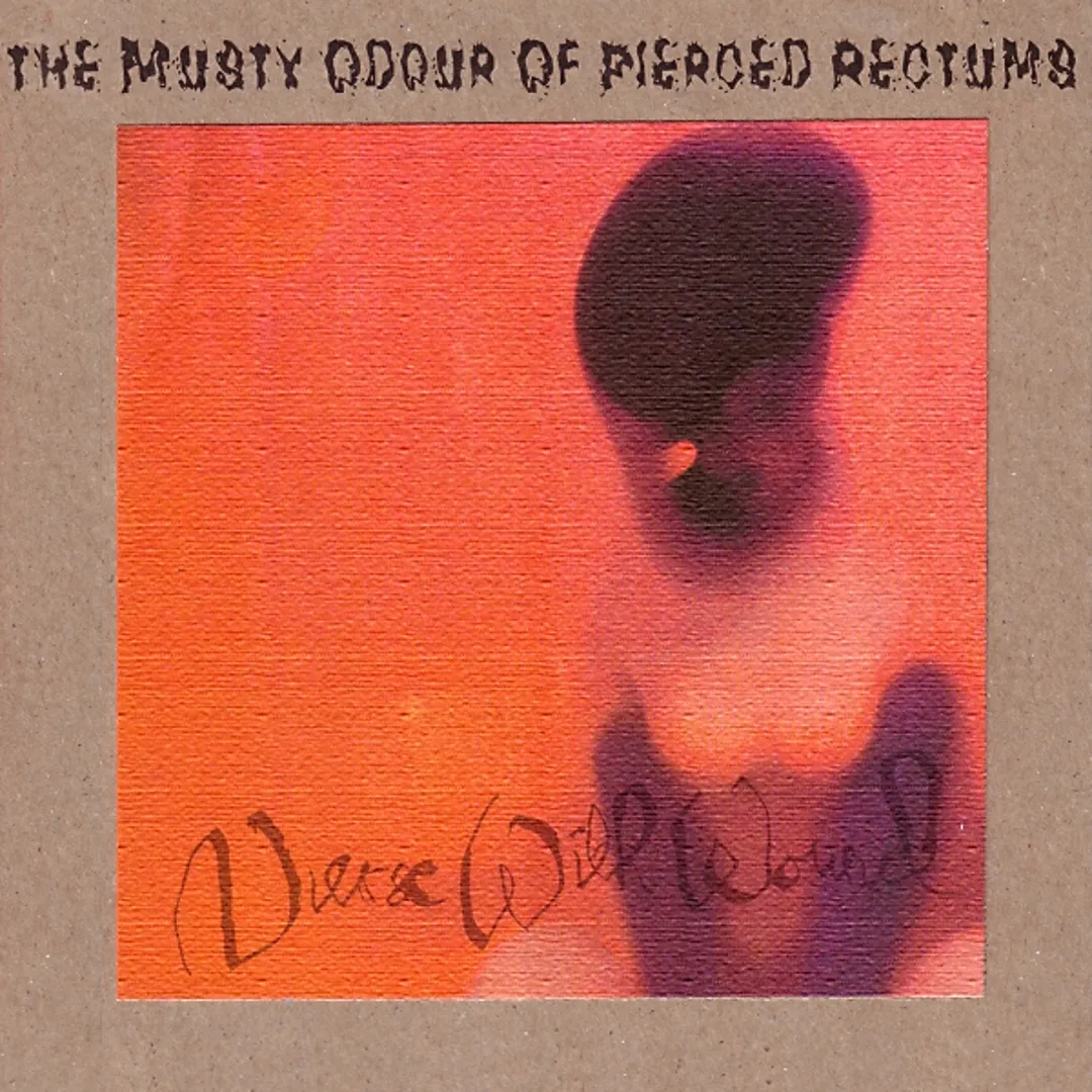 The Musty Odour of Pierced Rectums