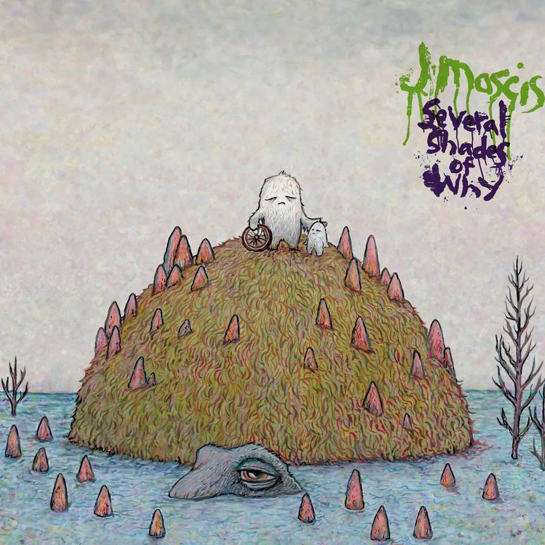 Several Shades of Why