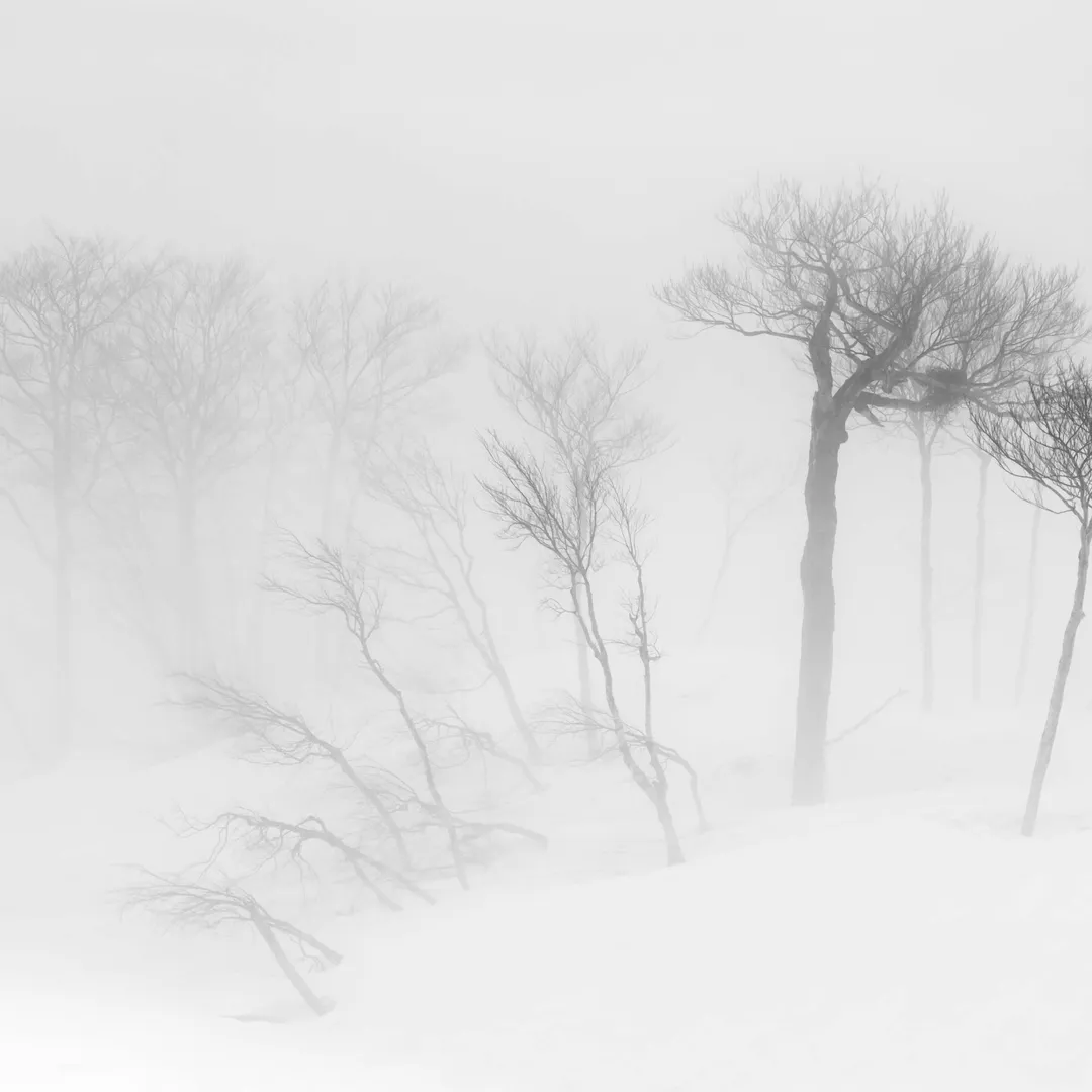 What Has Remained: The Lost Teachings of the Antithesis