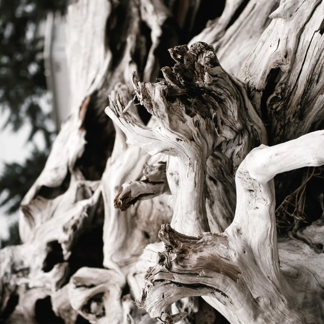 The Only Time I Hear That You Want a New Life Is When Your Hands Are Like Papercut Blood Vessels; I Guess It's About Time You Find a New Face and Another Skin to Blend In