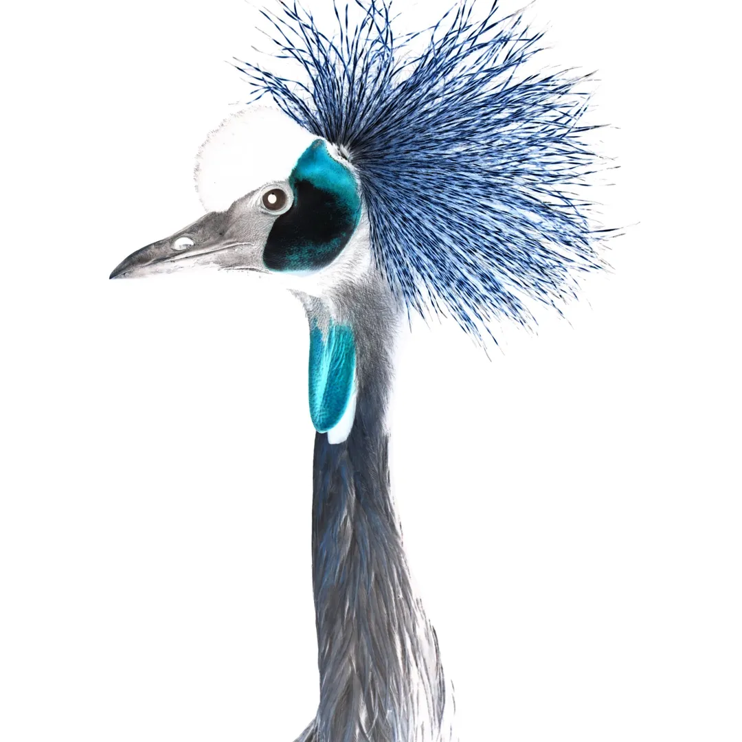 Provocative Devotion to a Greedy Human God