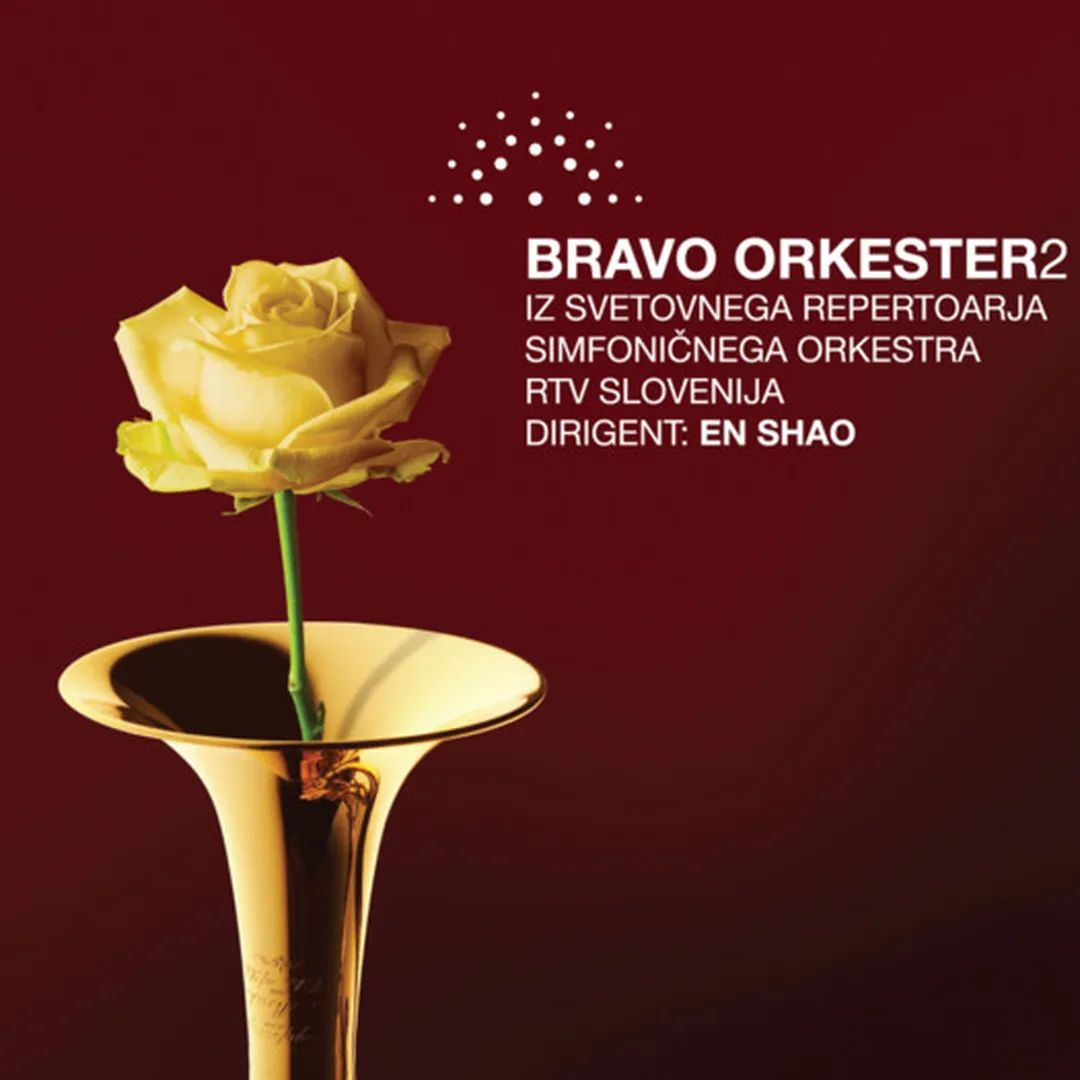 Bravo Orkester 2