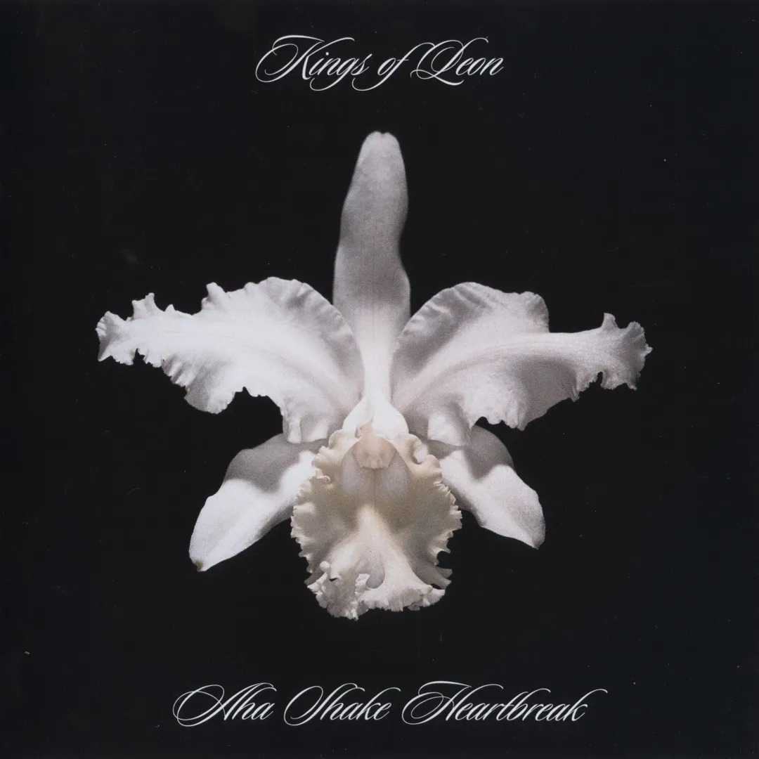 Aha Shake Heartbreak