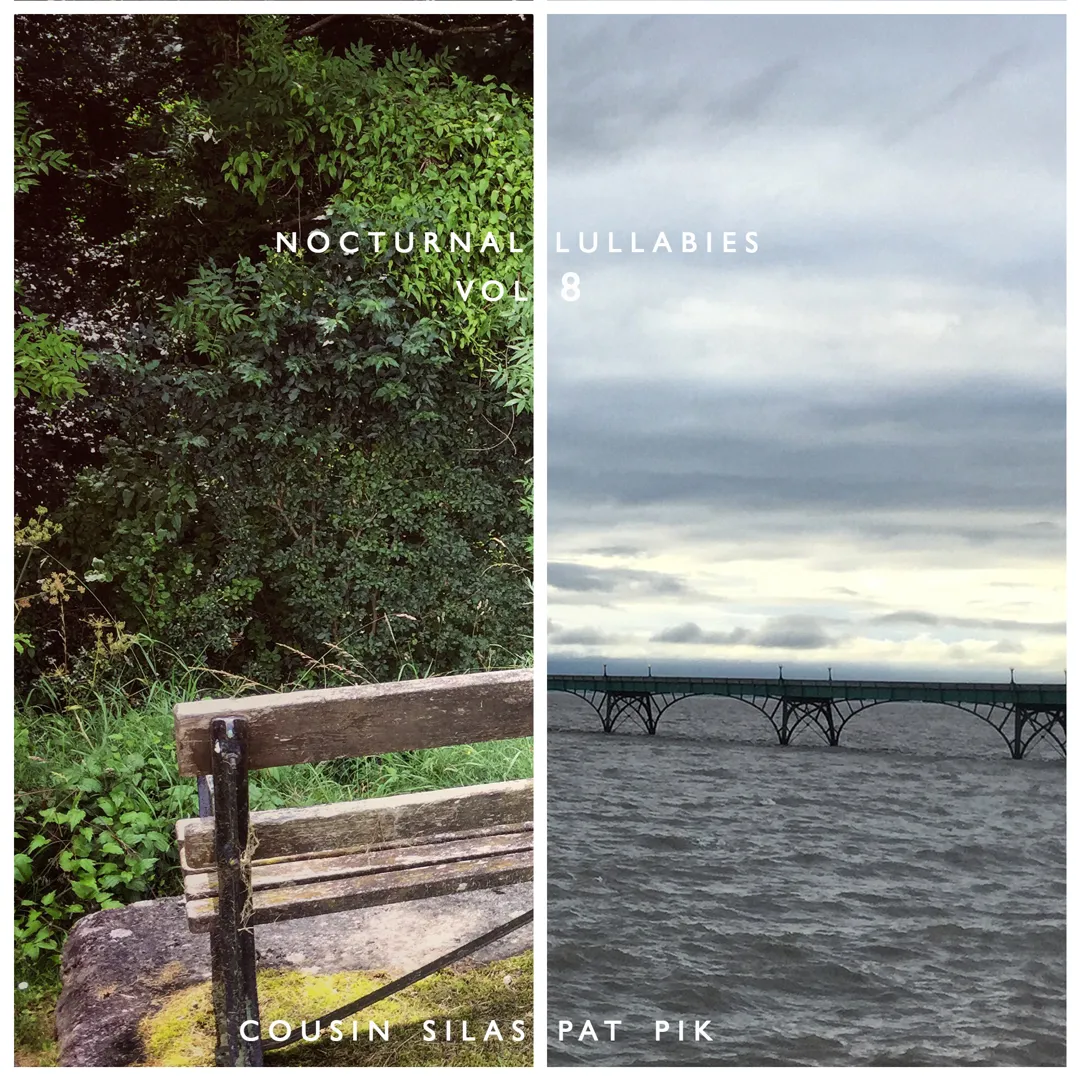 Nocturnal Lullabies, Volume 8