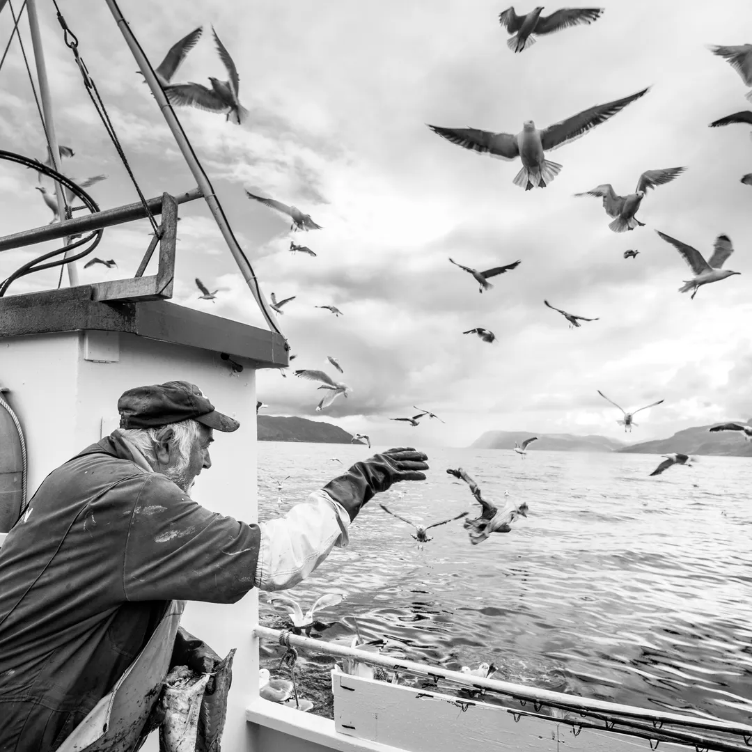 The Best Siddhi Is Having No Special Powers at All