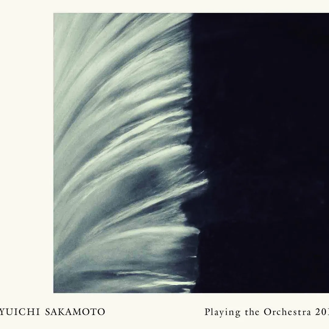 Playing the Orchestra 2013