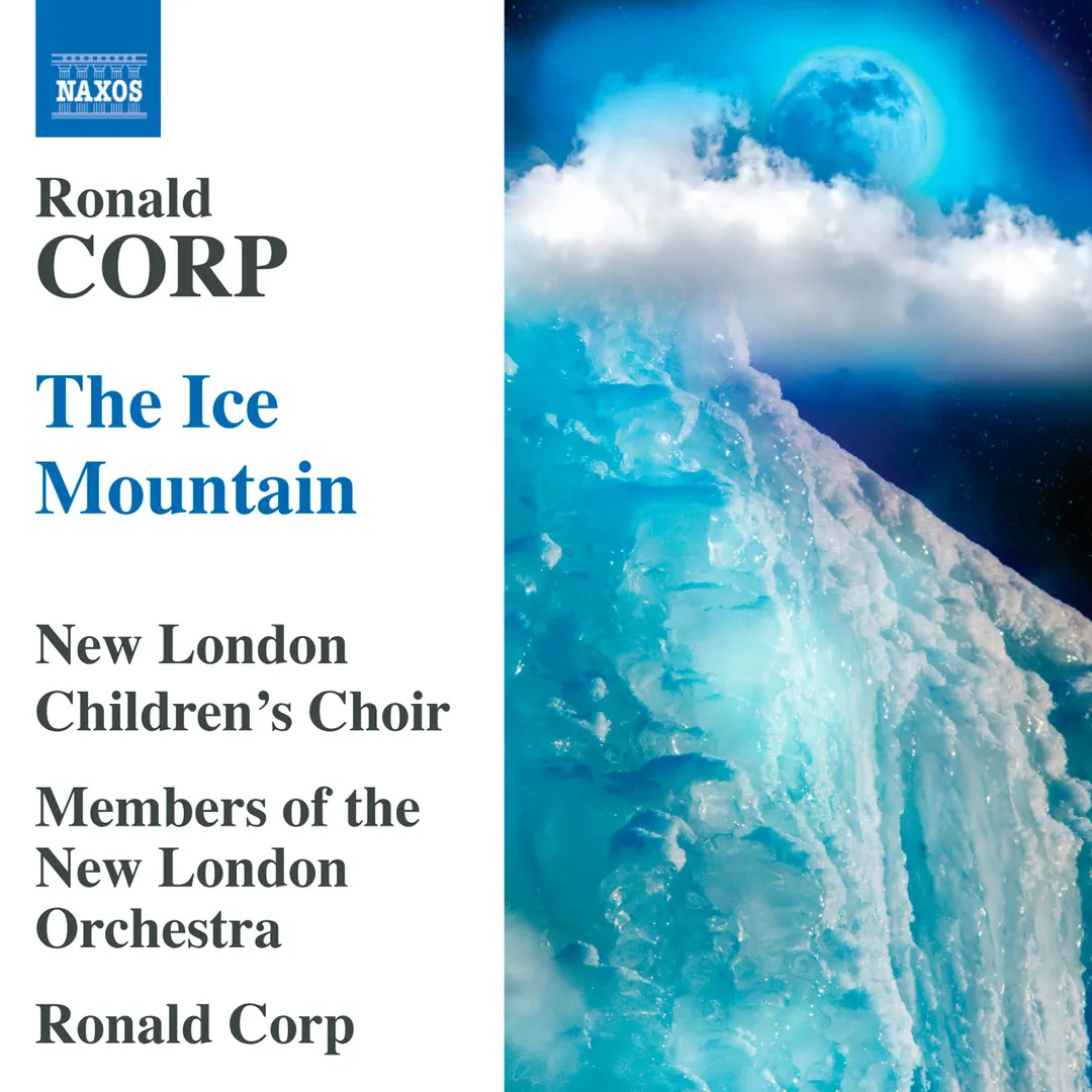 The Ice Mountain
