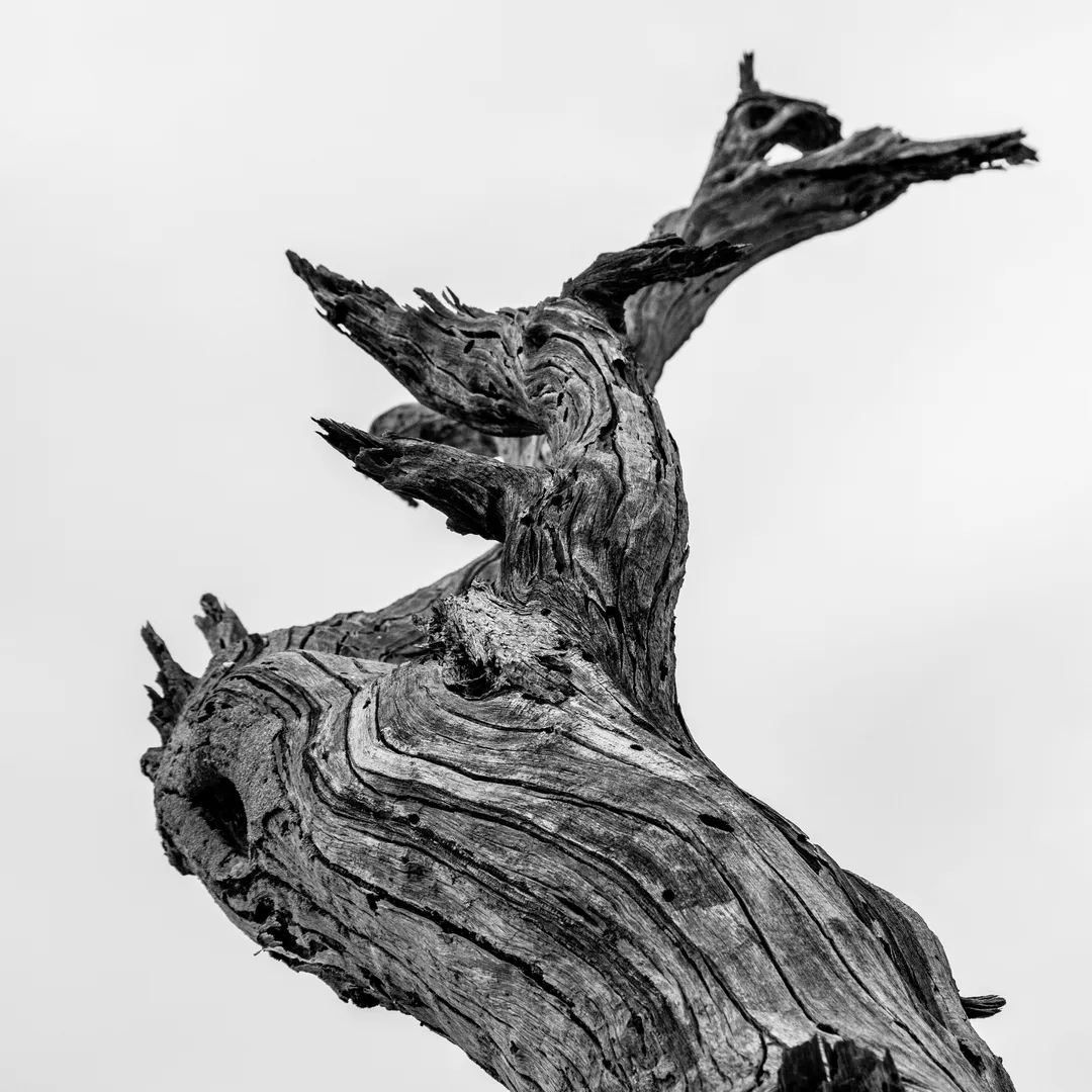 Biographic Self Deception Is Like a Wheel of Fortune