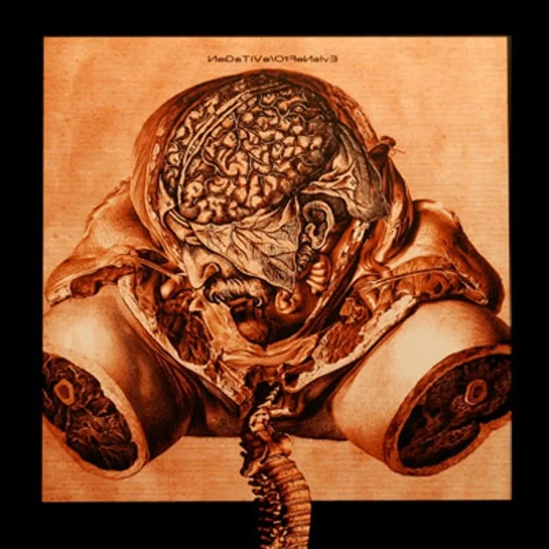 Negative / Offensive