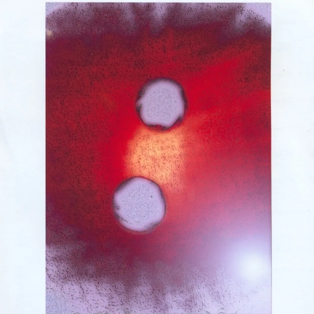 Firmament in Obscurity