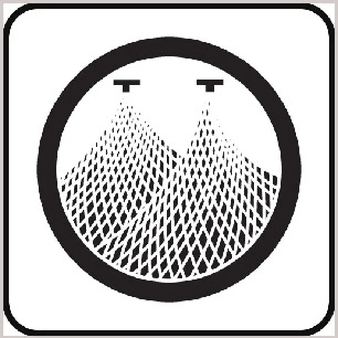 A Life Saved by a Spider and Two Doves