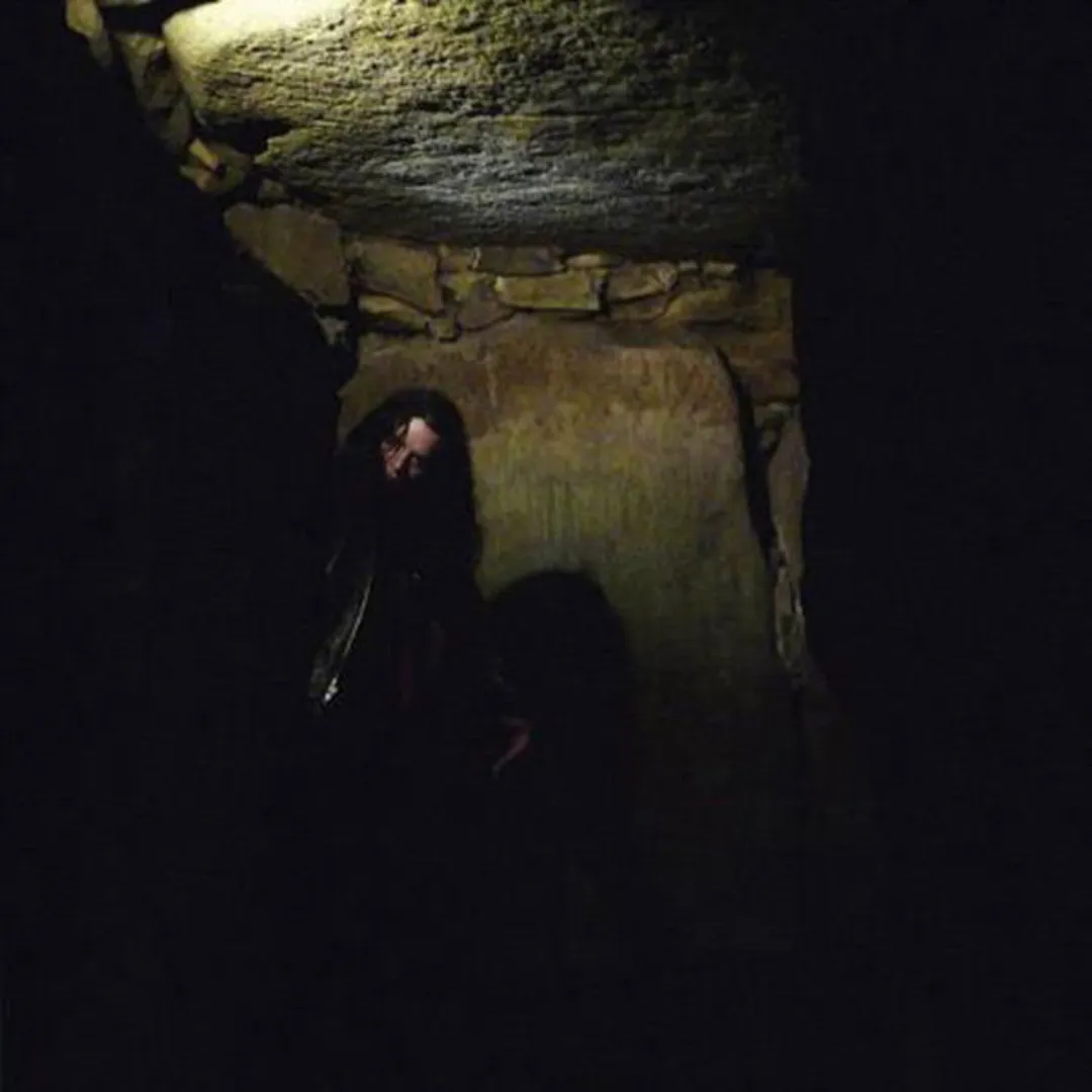 Cocon & Oiseau De Nuit