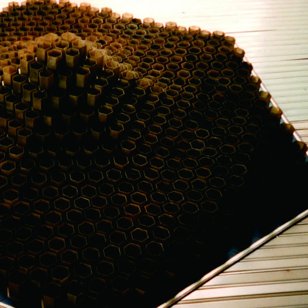 Cat of Shell, Vol. 1