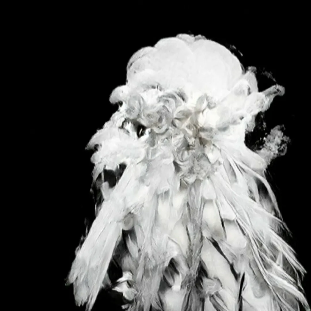 Draconian Fables on How to Sacrifice Your Demons