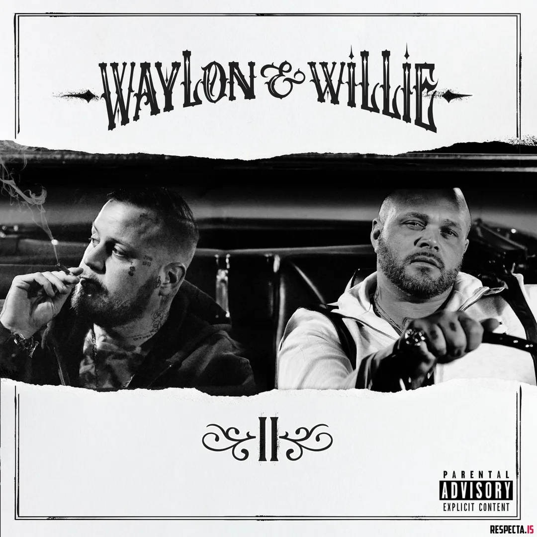 Waylon & Willie II