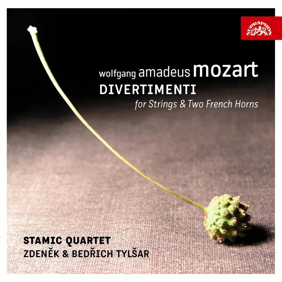 Divertimenti for Strings & Two French Horns