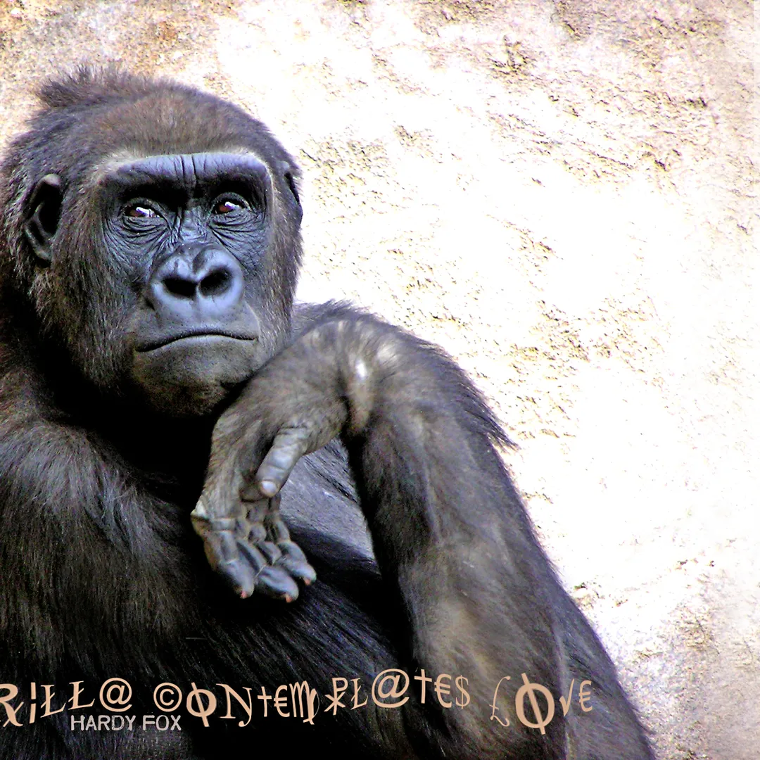 Rilla Contemplates Love