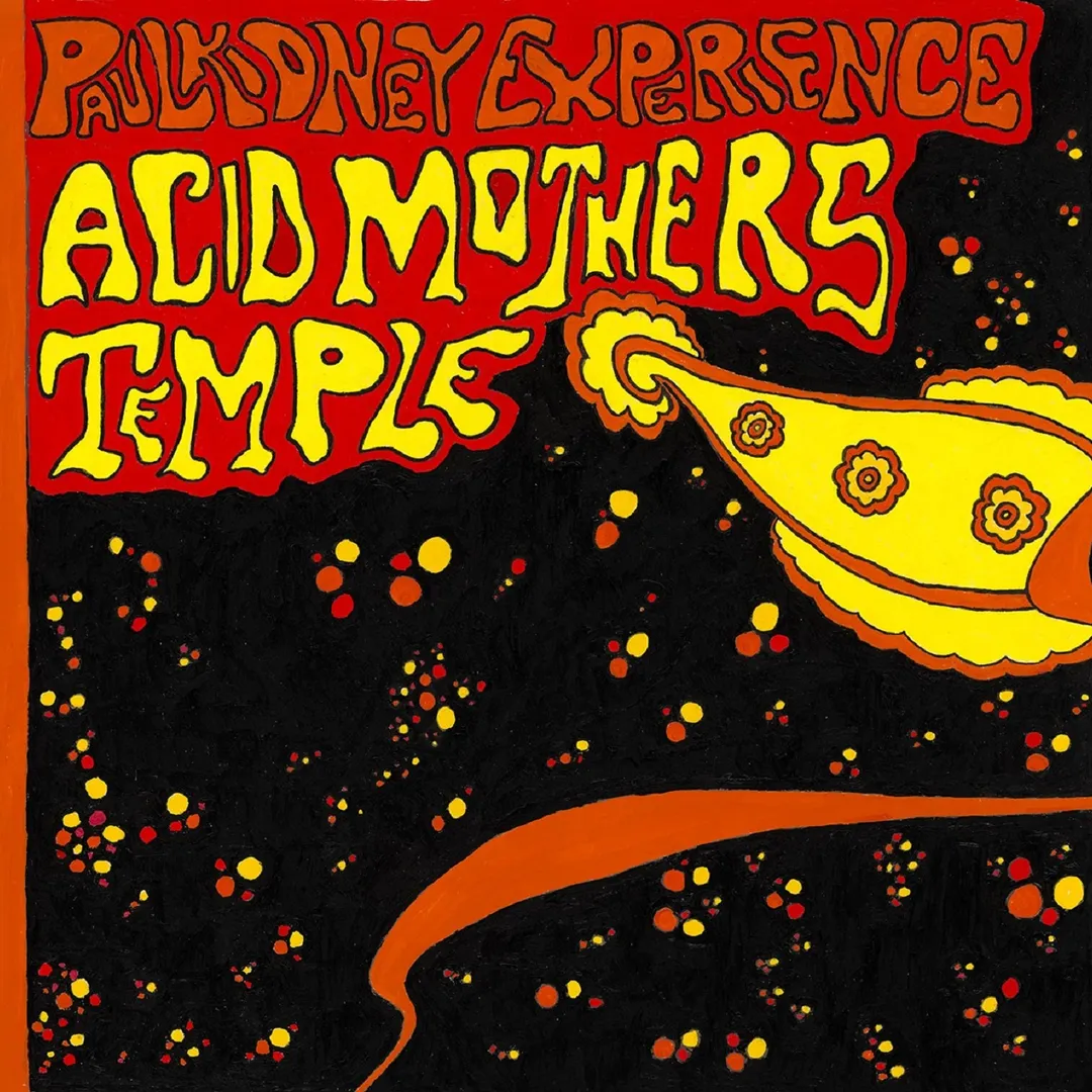 Paul Kidney Experience