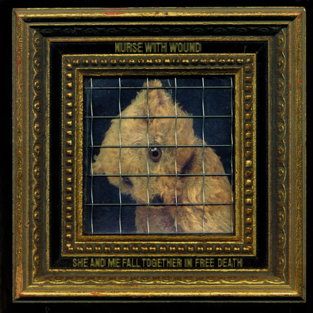 She and Me Fall Together in Free Death