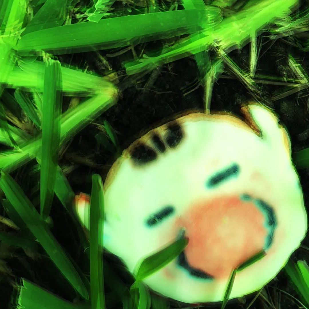 𝚝𝚛𝚊𝚗𝚚𝚞𝚒𝚕 𝚠𝚘𝚘𝚍