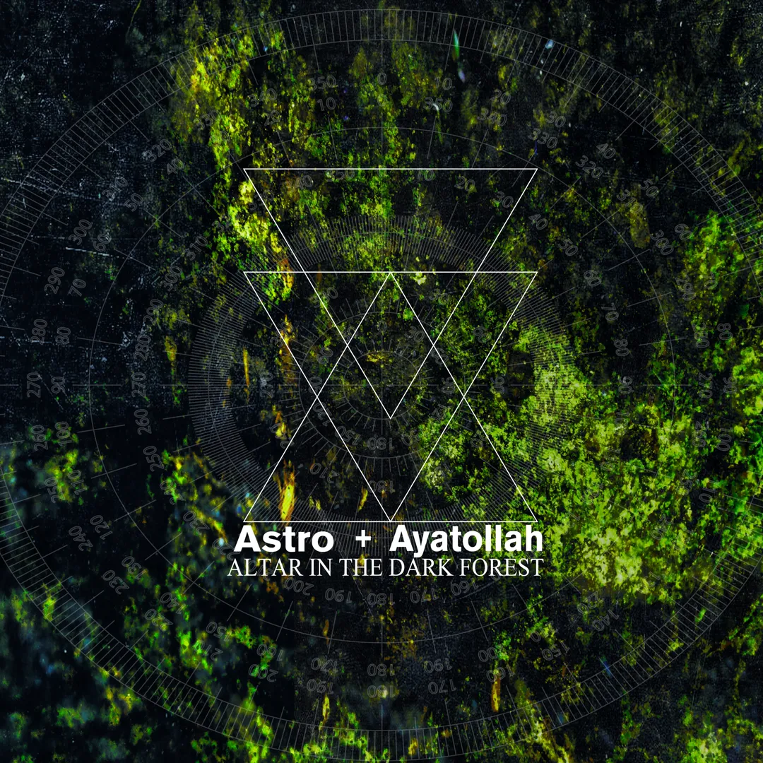 Altar in the Dark Forest